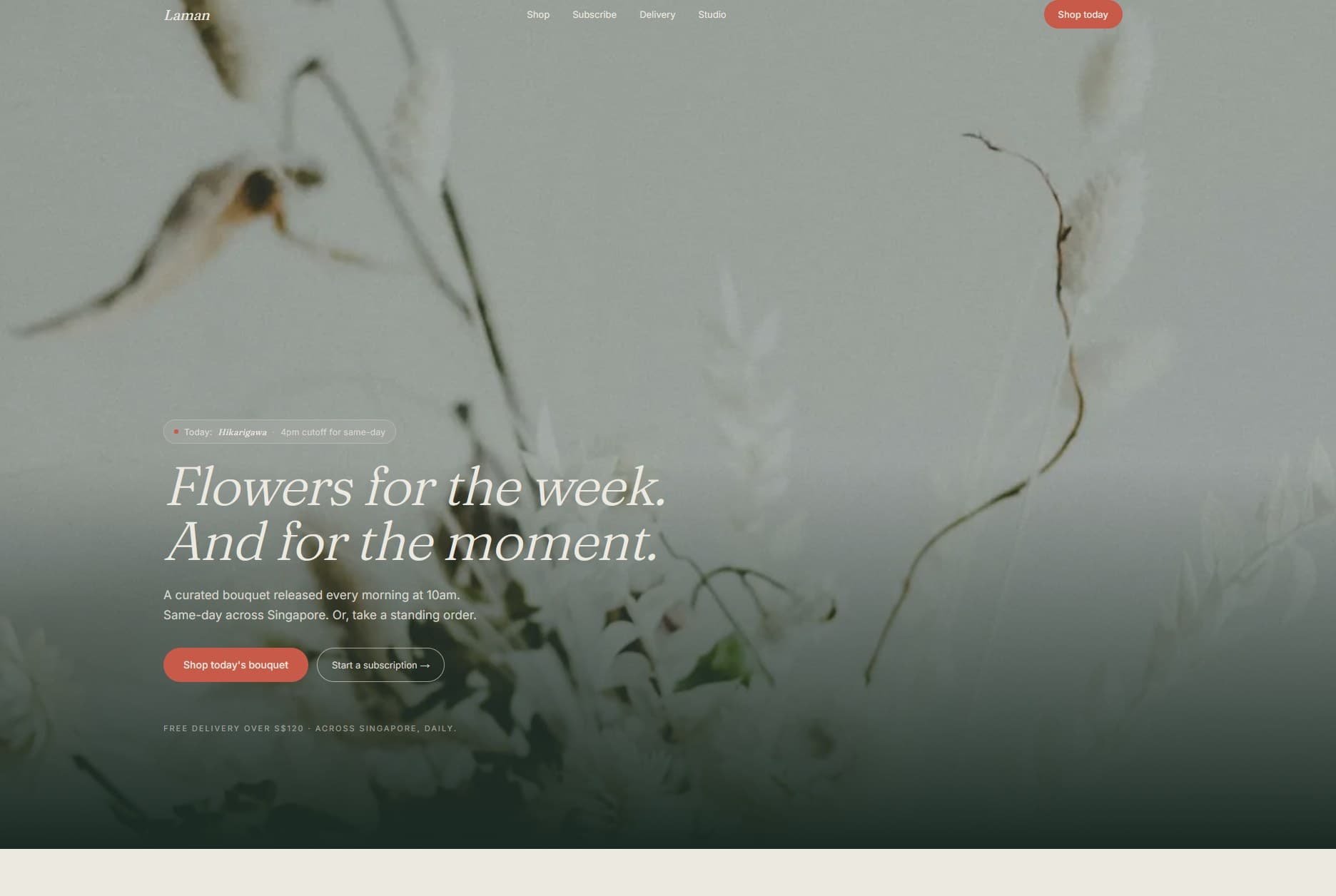 Laman — preview